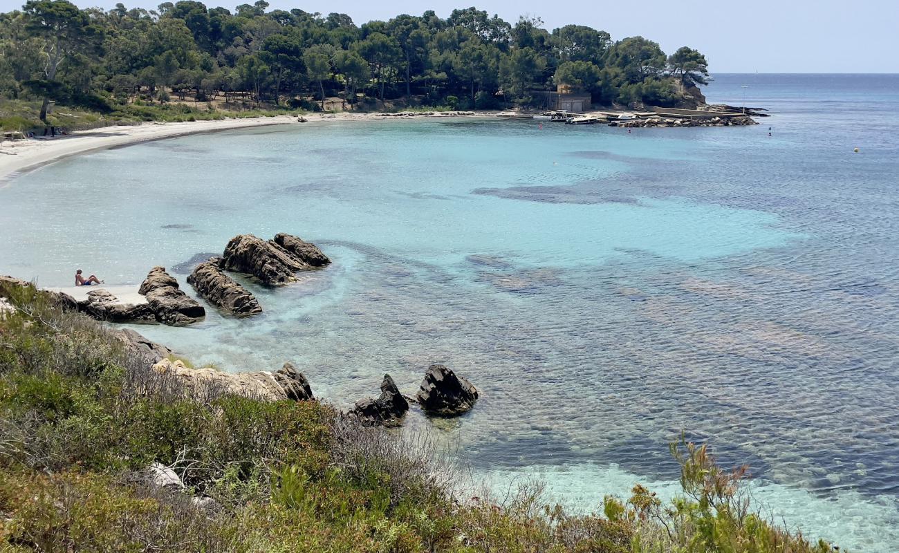 Foto af Plage de la Vignasse med lys sand overflade