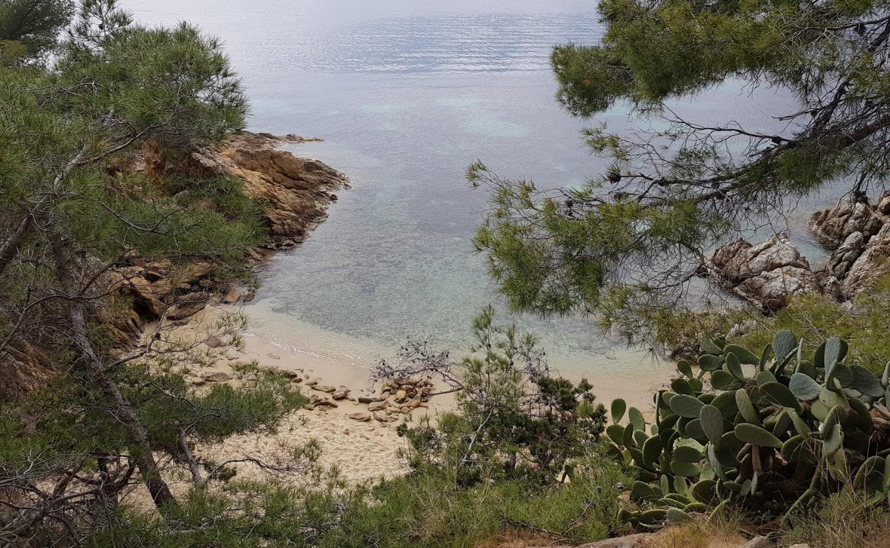 Foto af Plage naturiste du Rossignol med grå sand overflade