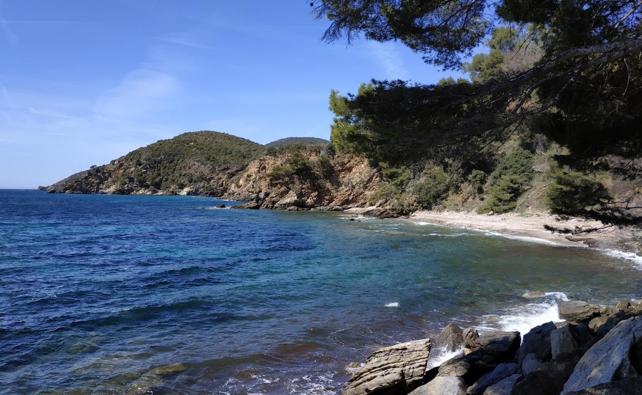 Foto af Plage des Amphores med sten overflade