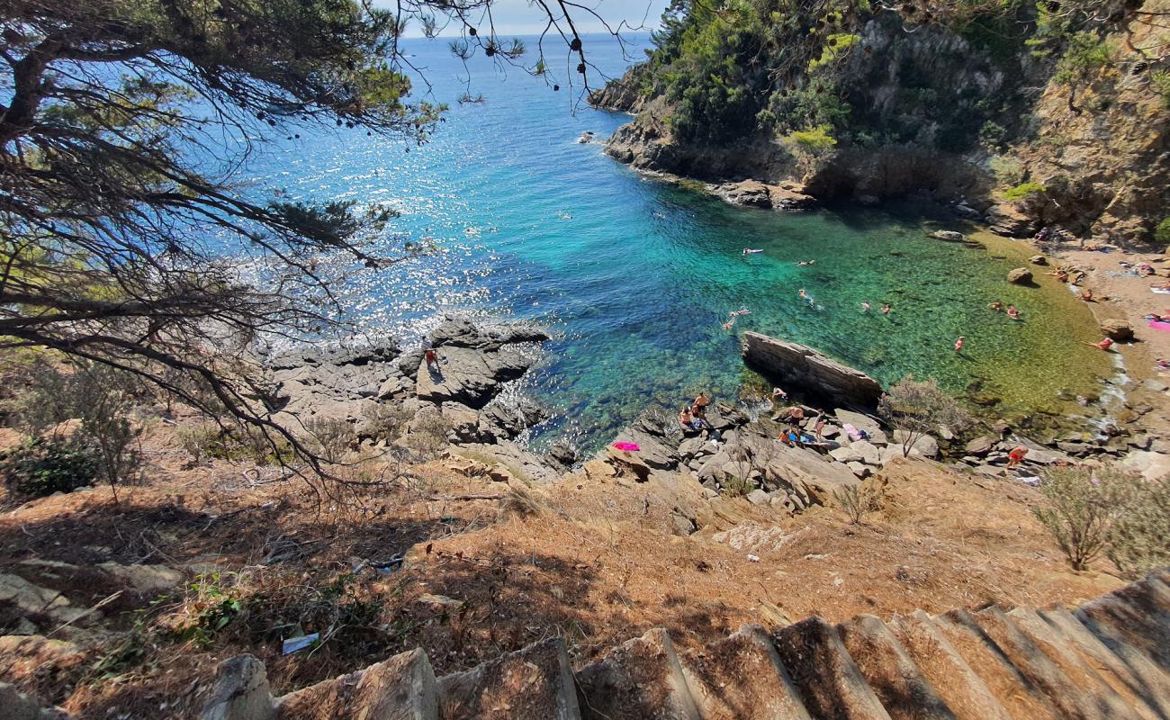 Foto af Calanque Plage med sten overflade