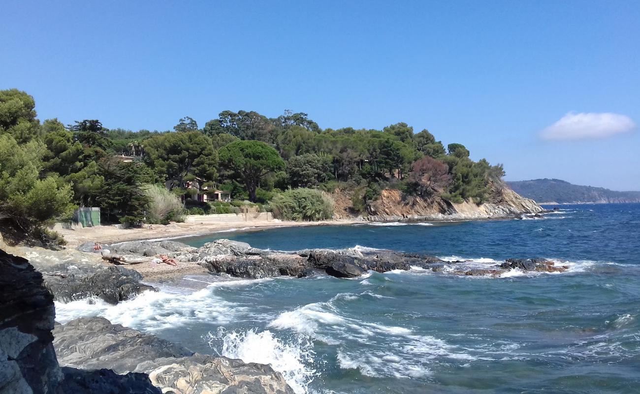 Foto af Plage du Vergeron med grå fin sten overflade