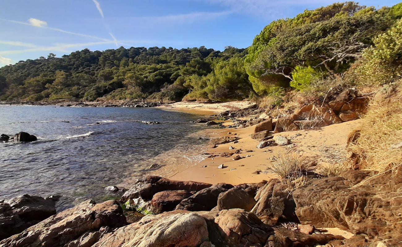 Foto af Plage de la Garrigue med lys sand overflade