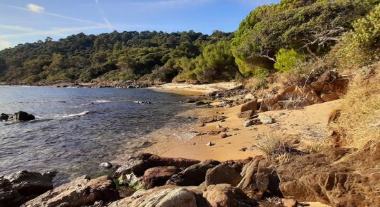 Plage de la Garrigue