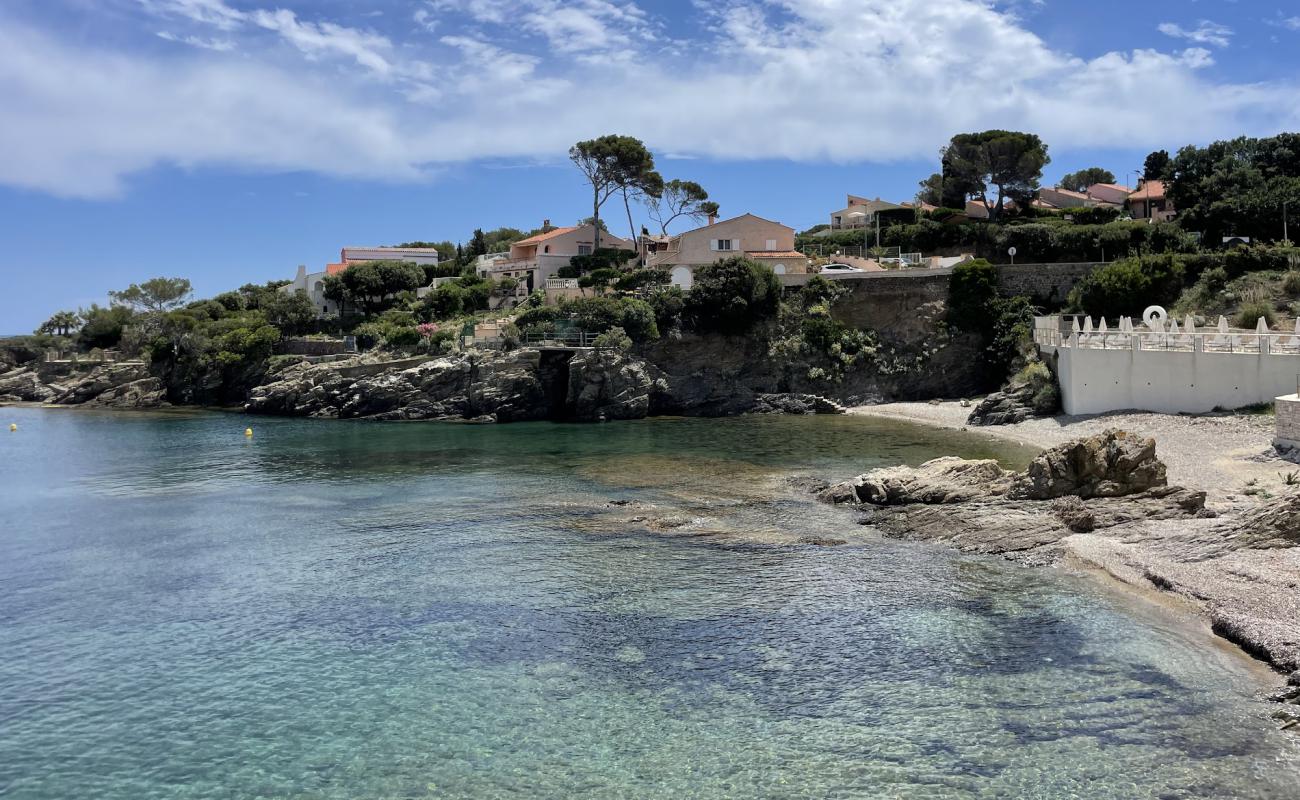 Foto af Plage Calanque de Bonne Eau med grå fin sten overflade