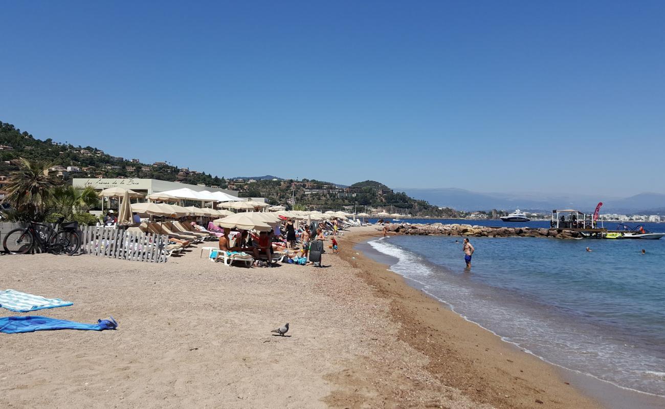 Foto af Plage du Vallon de l'Autel med lys sand overflade