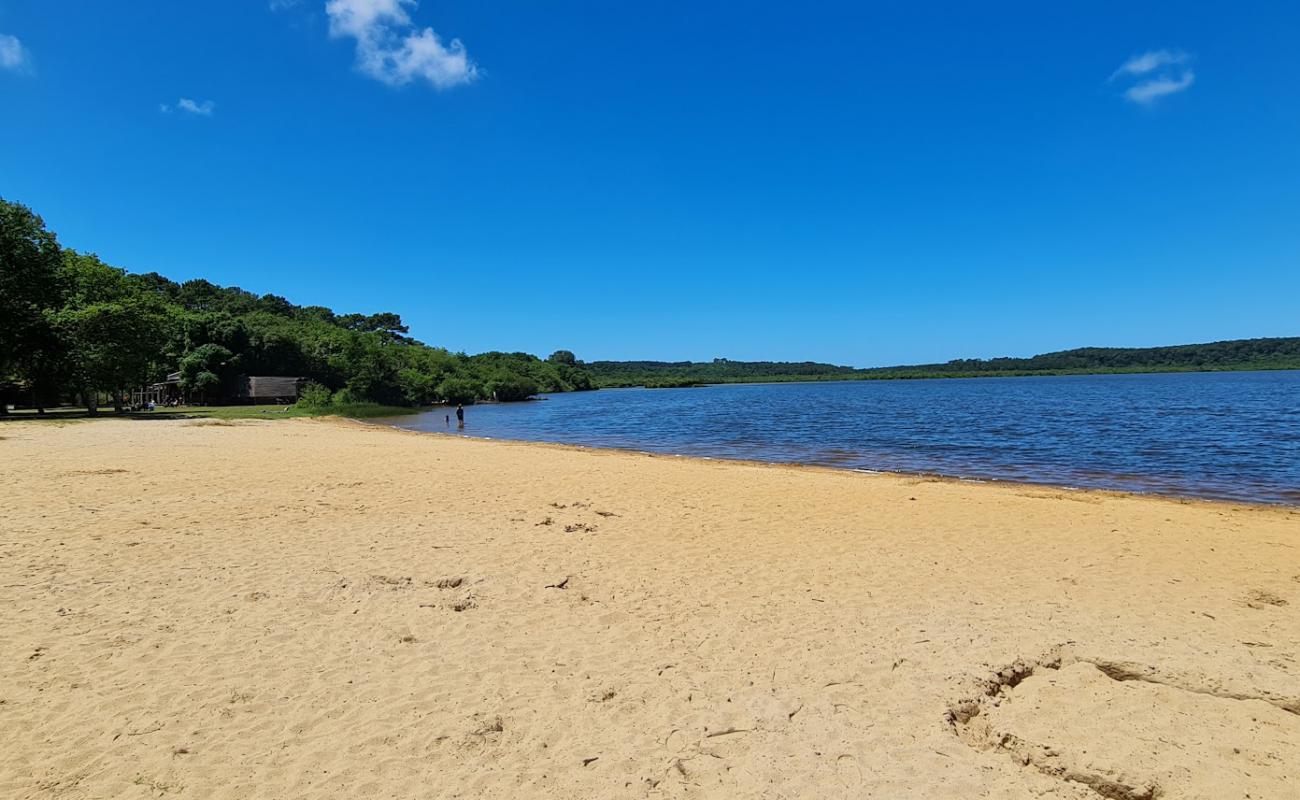 Foto af Plage du Lac de Leon med lys sand overflade