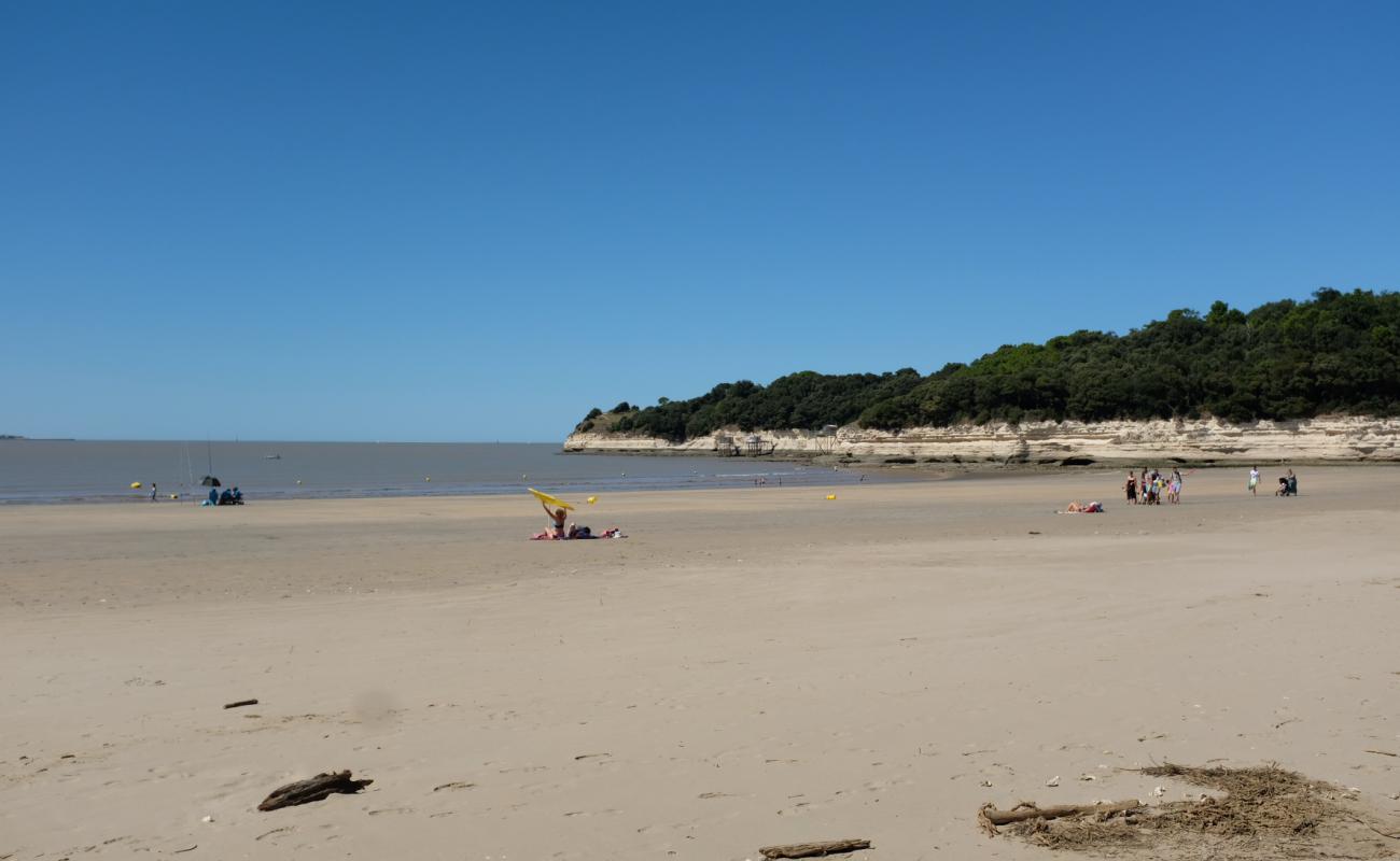 Foto af Plage de Suzac med lys sand overflade