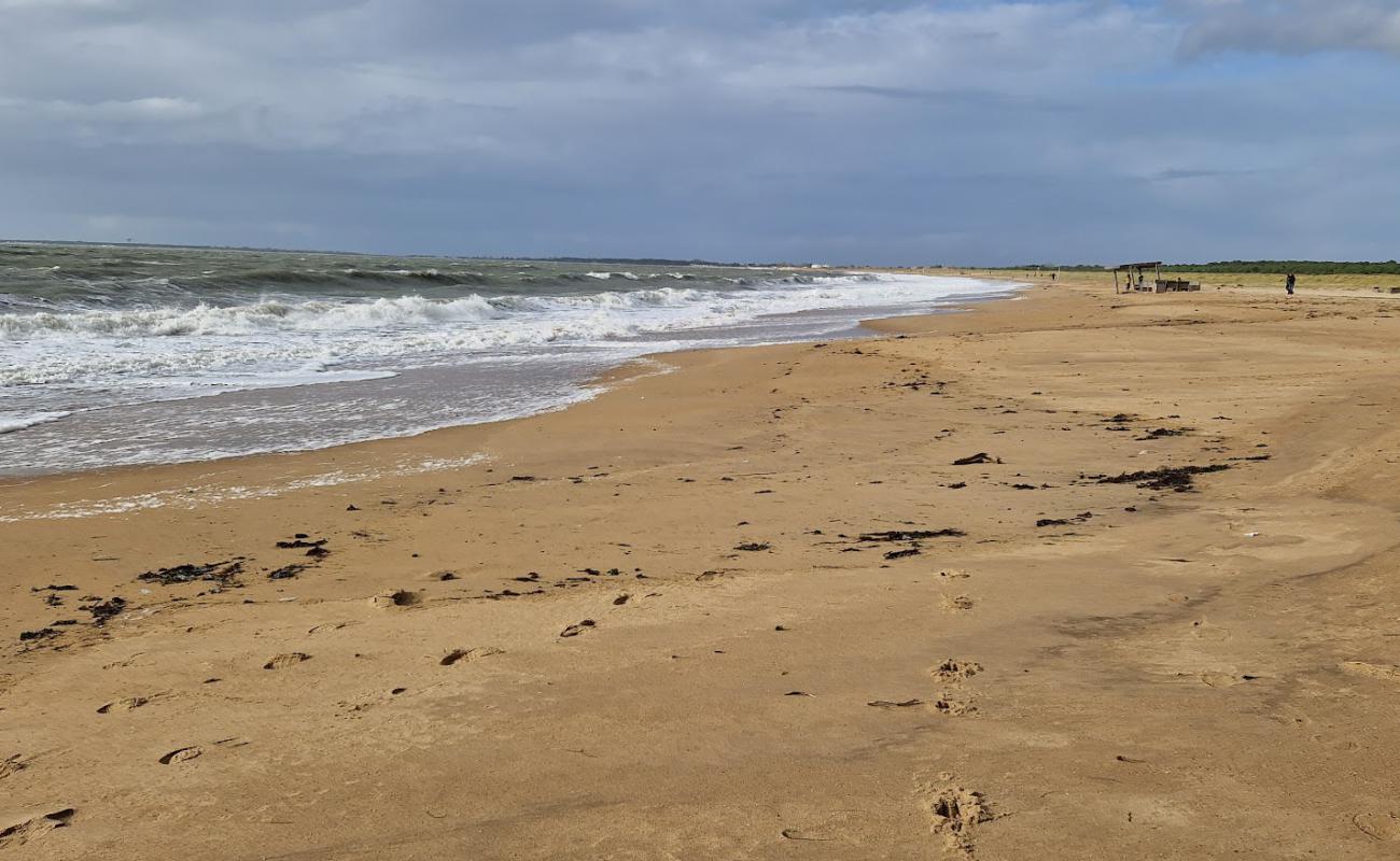 Foto af Plage de la Barrique med lys sand overflade