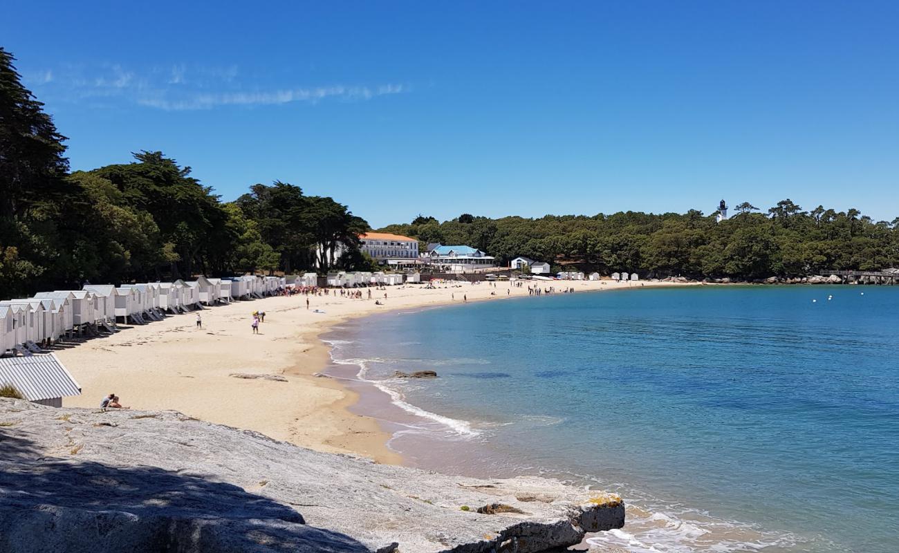 Foto af Plage des Sableaux med lys sand overflade