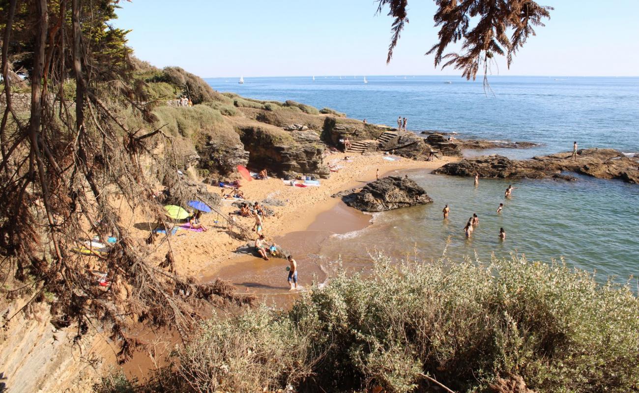 Foto af Plage des Grandes Vallees med lys sand overflade