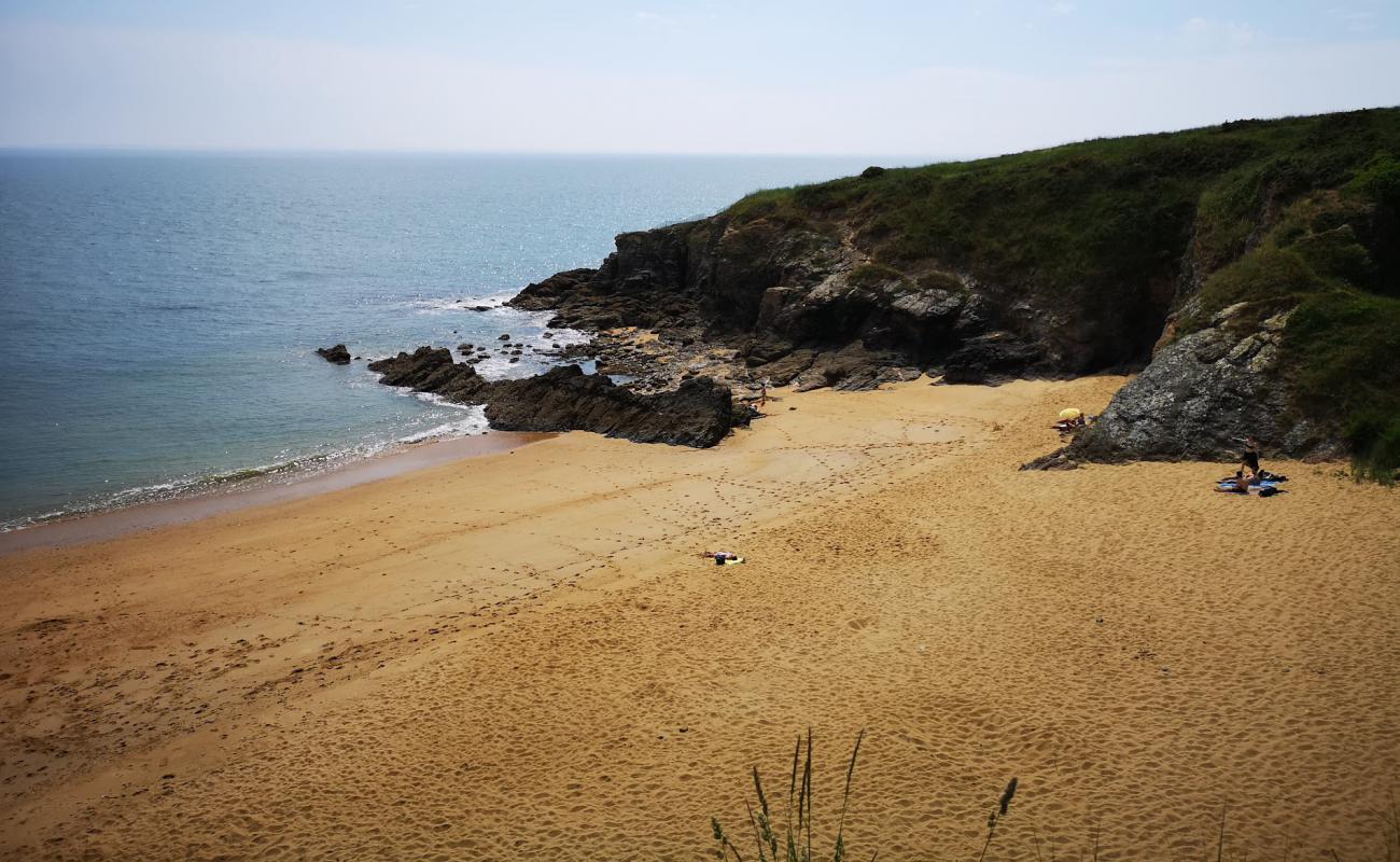 Foto af Plage des Choizeau med lys sand overflade