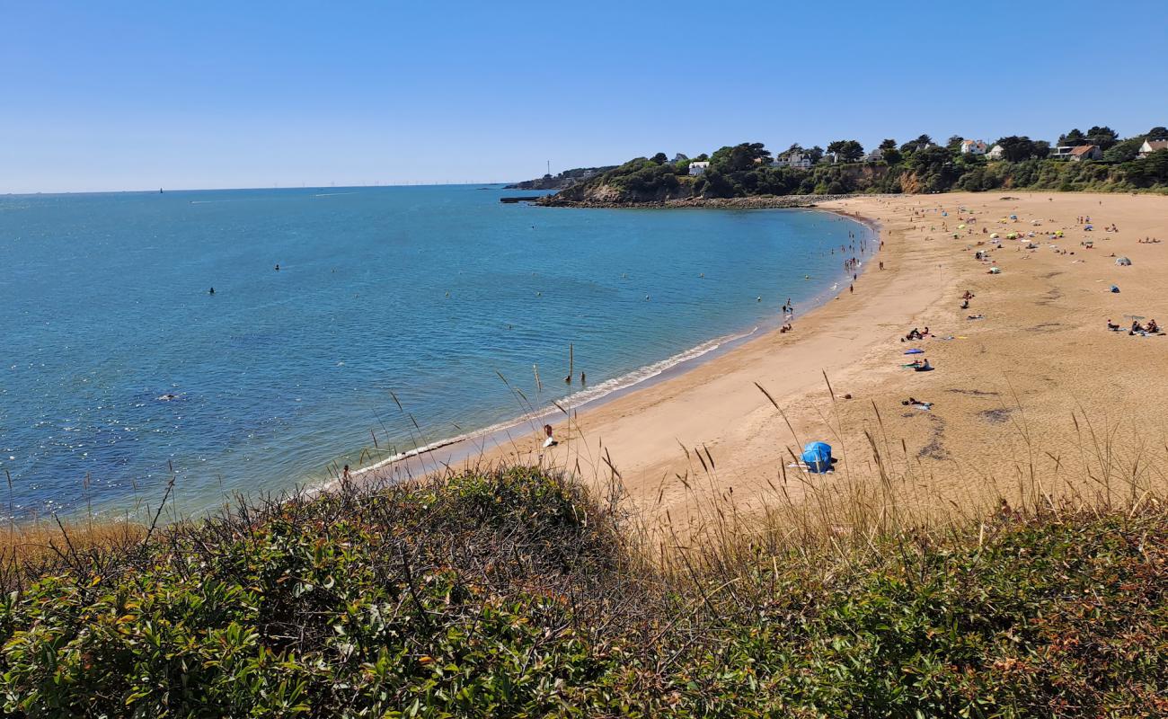 Foto af Plage de la Courance med lys sand overflade