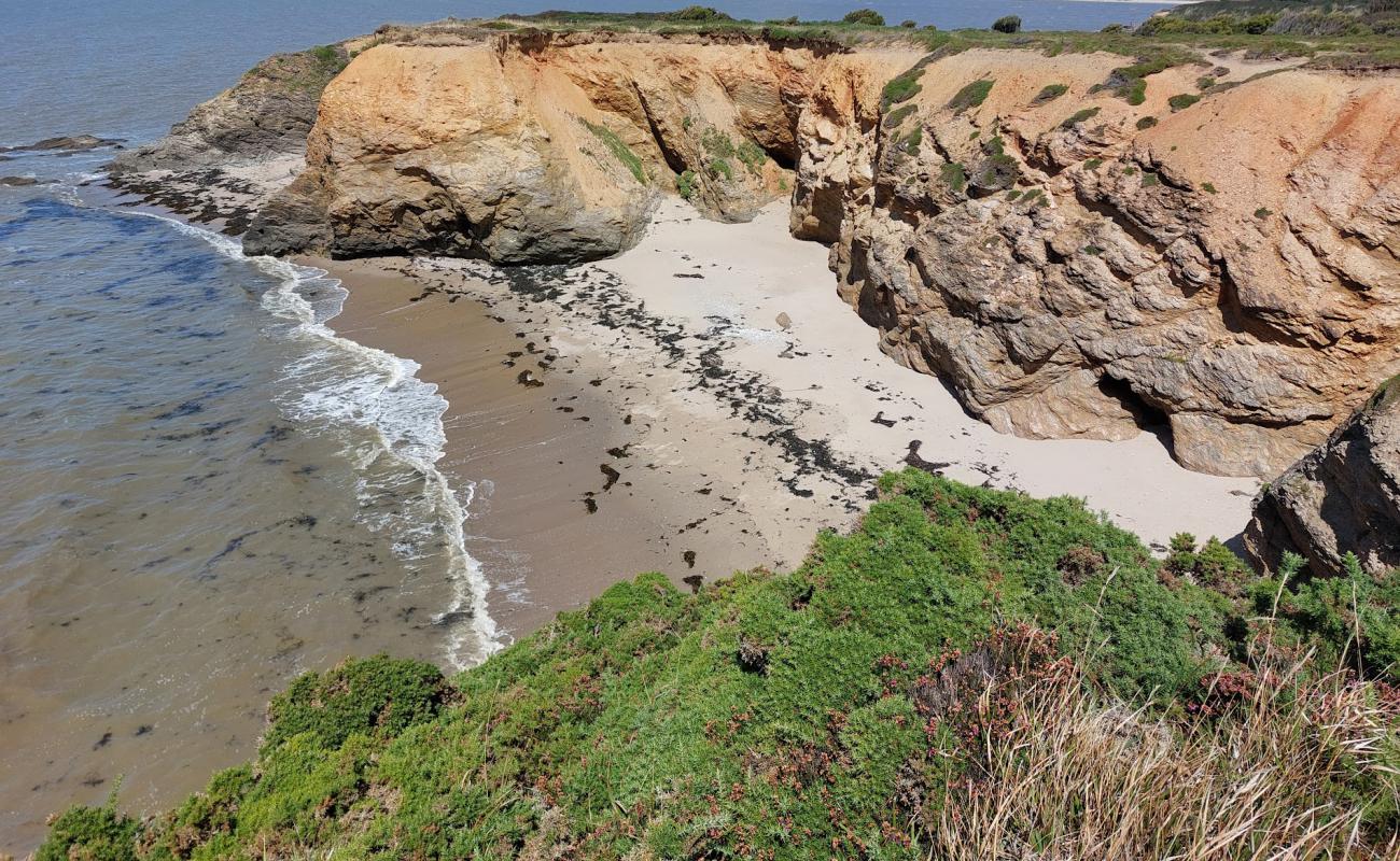 Foto af Plage De La Marche Aux Boeufs med lys sand overflade