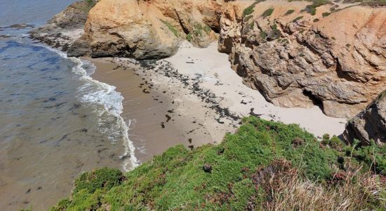 Plage De La Marche Aux Boeufs