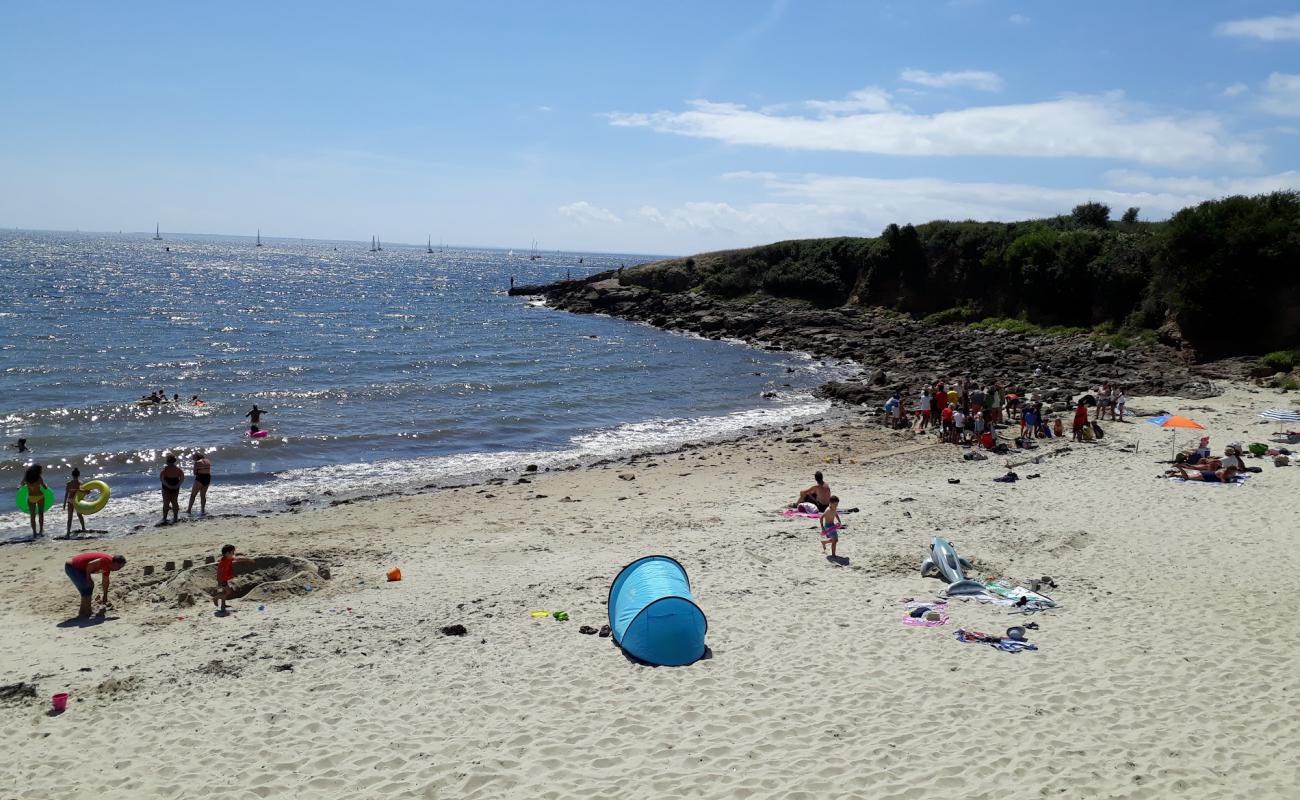 Foto af Plage de Port-Sable med lys sand overflade