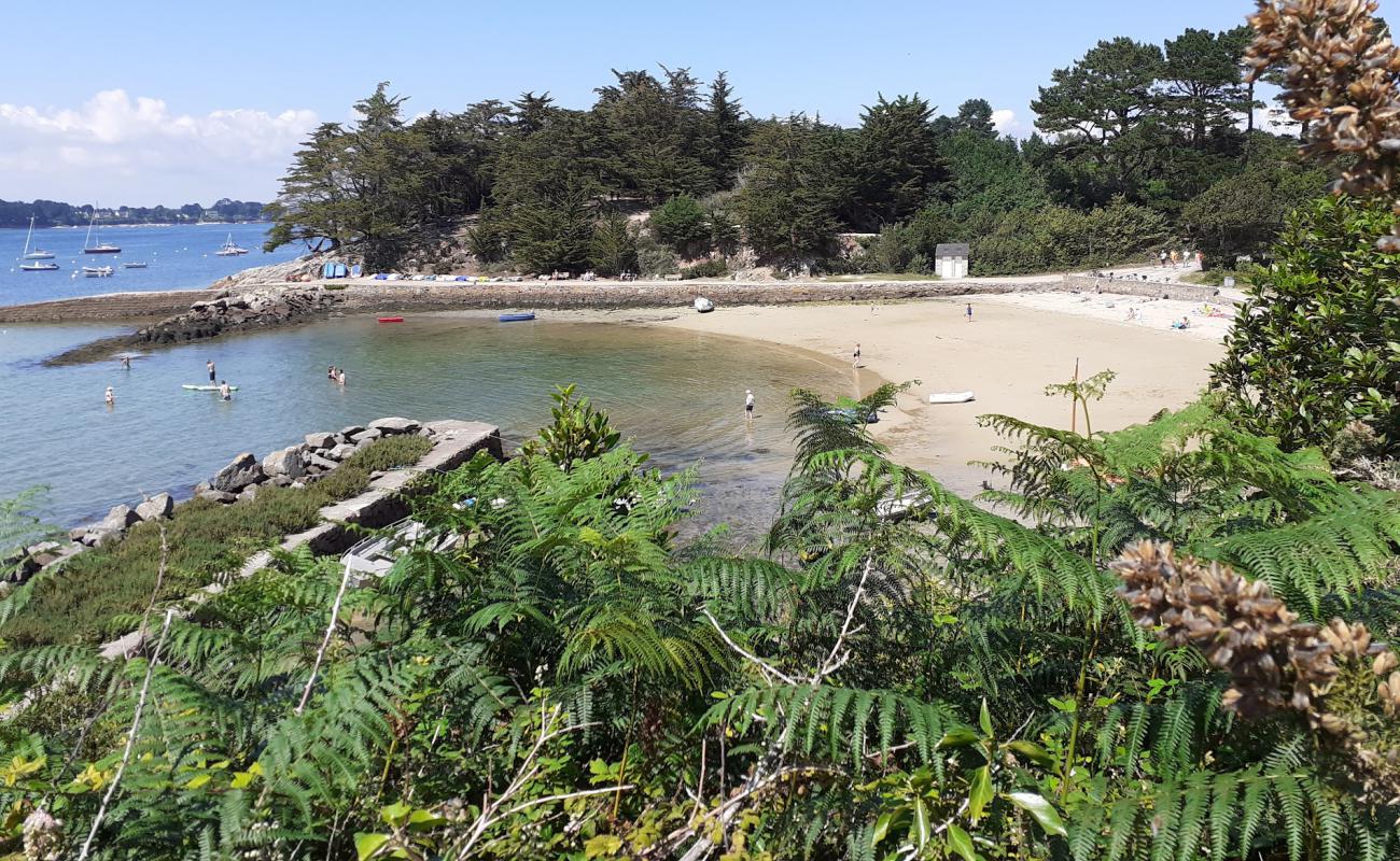 Foto af Plage du Gored med lys sand overflade