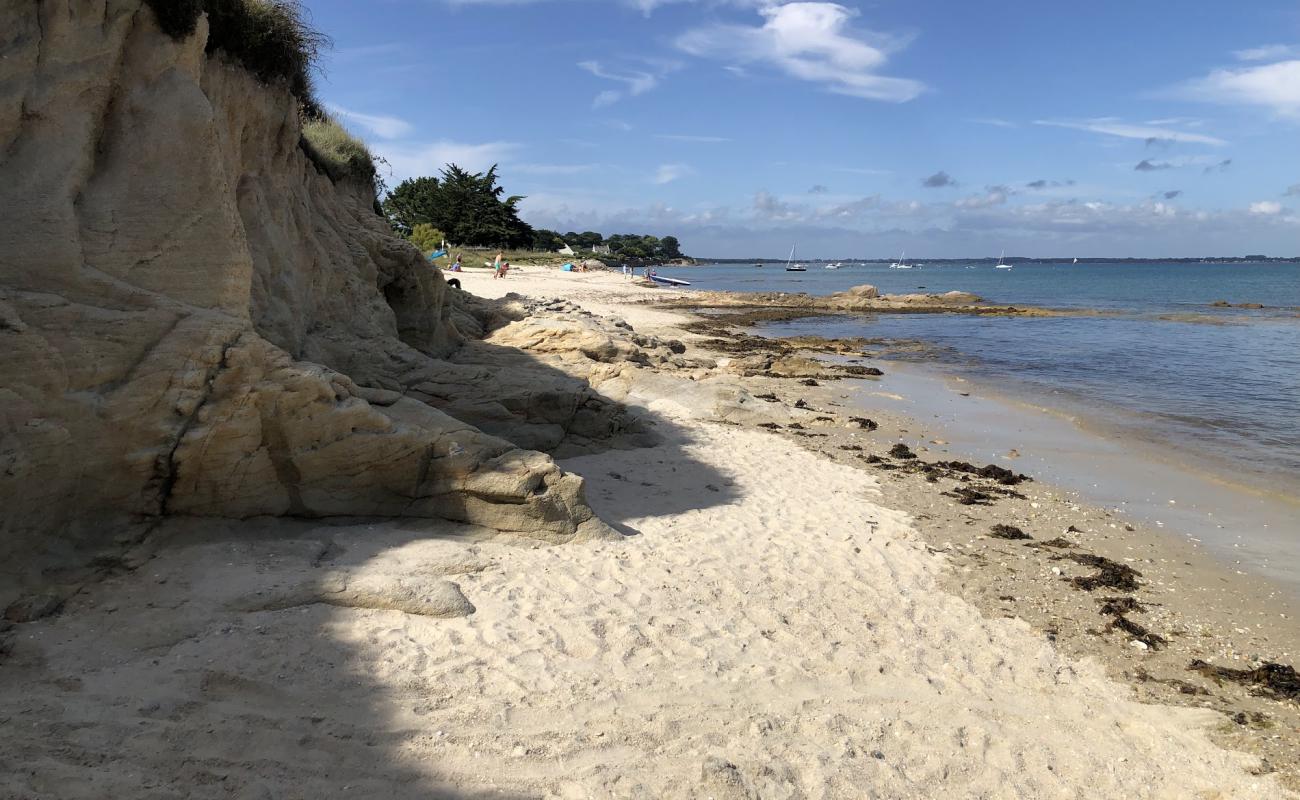 Foto af Plage du Lizeau med lys sand overflade