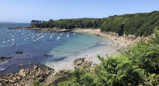 Plage du Dellec