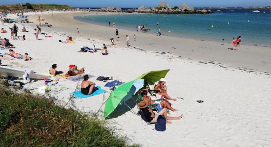 Plage des Crapauds