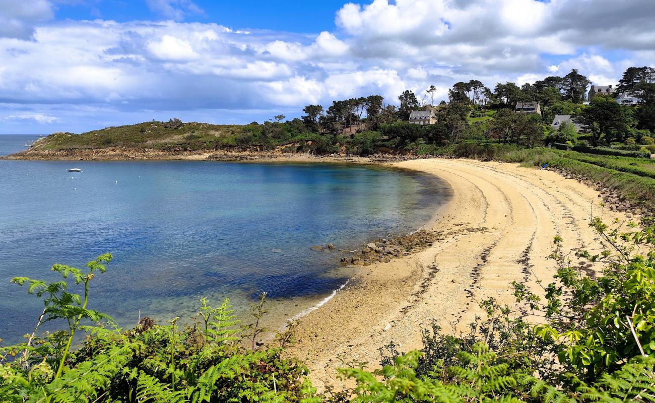 Foto af Plage du Cosmeur med lys sand overflade