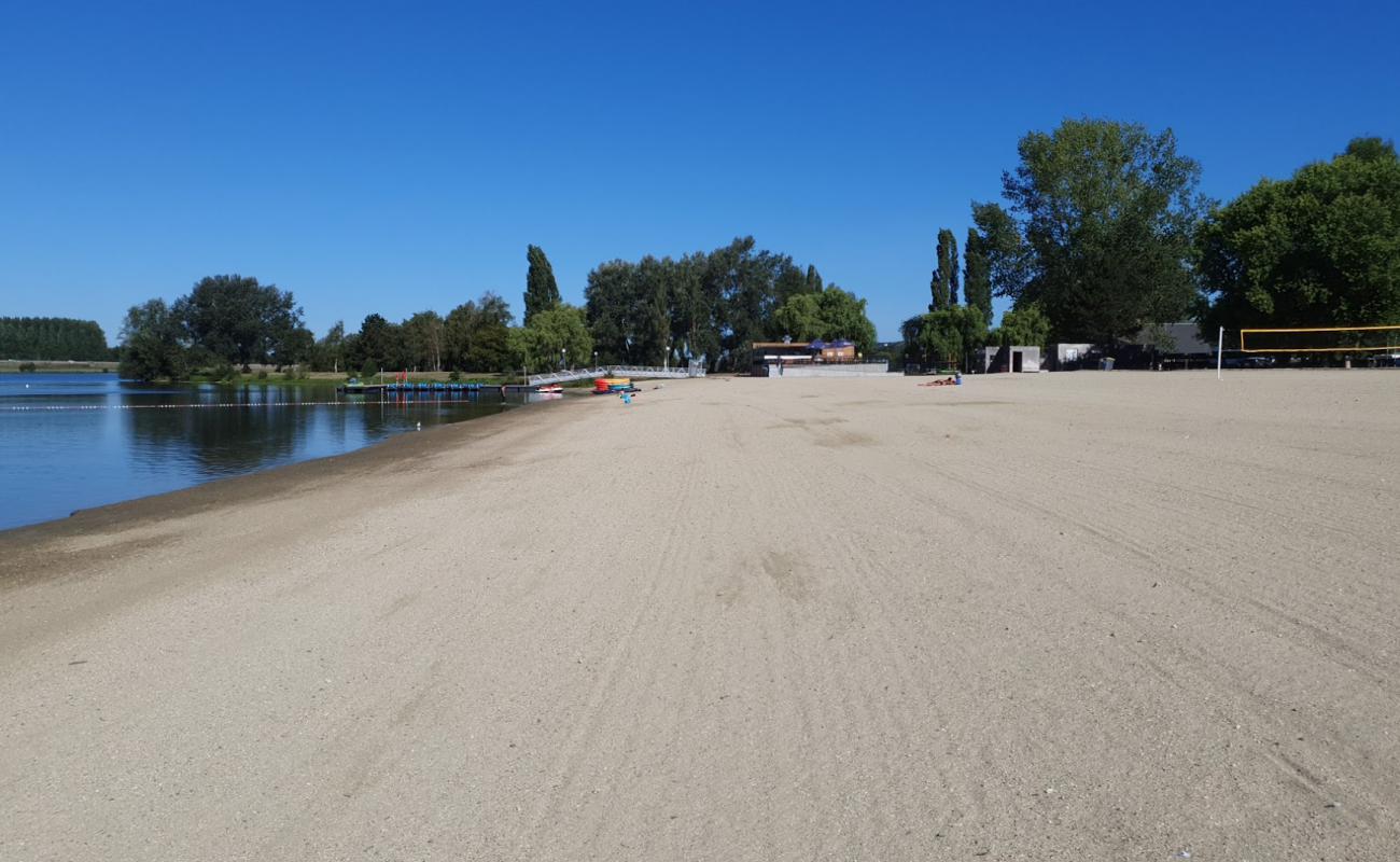 Foto af Plage du lac de Pont-l'Eveque med lys sand overflade