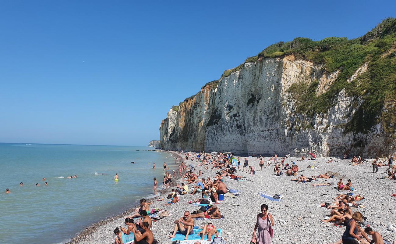 Foto af Plage de Veules-les-Roses med grå sten overflade