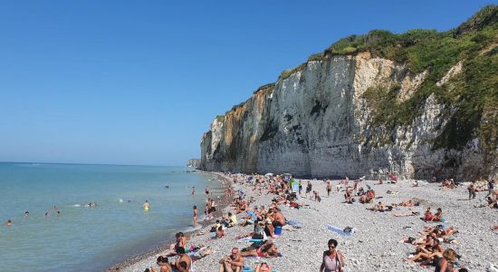 Plage de Veules-les-Roses