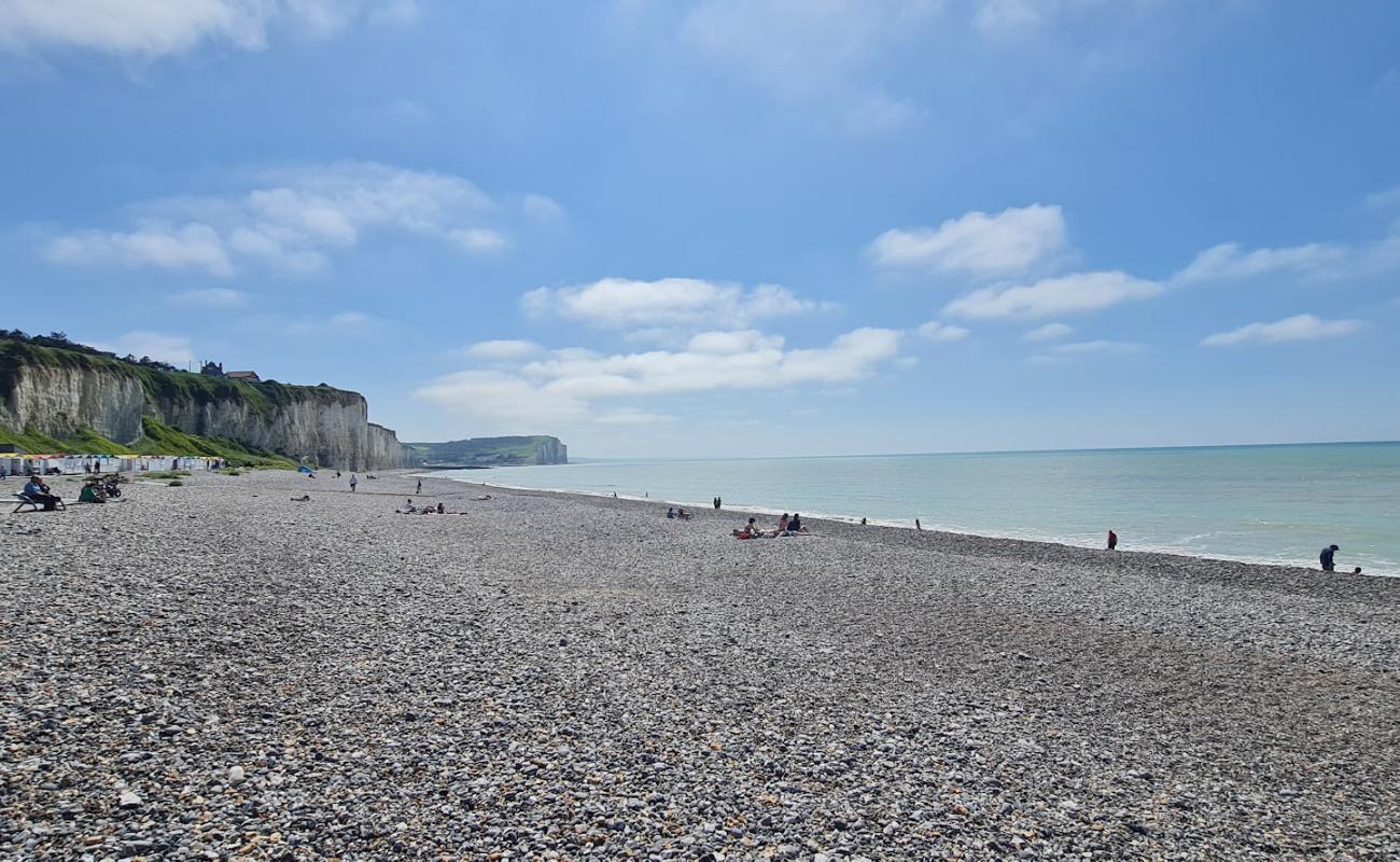 Foto af Plage de Mesnil Val med grå sten overflade