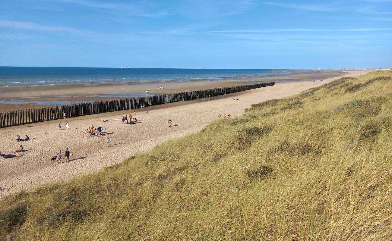 Foto af Plage des Ecardines med lys sand overflade