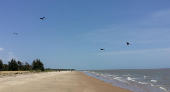 Plage De Kourou