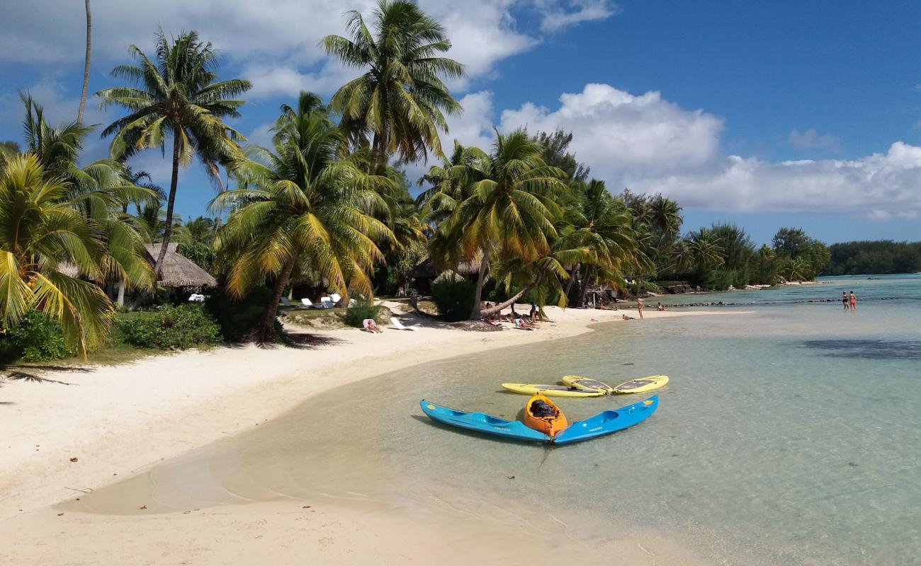 Foto af Plage des tipaniers med lys fint sand overflade