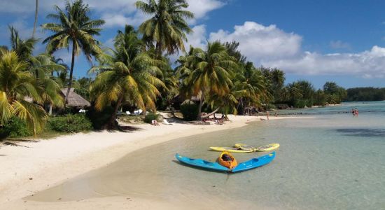 Plage des tipaniers