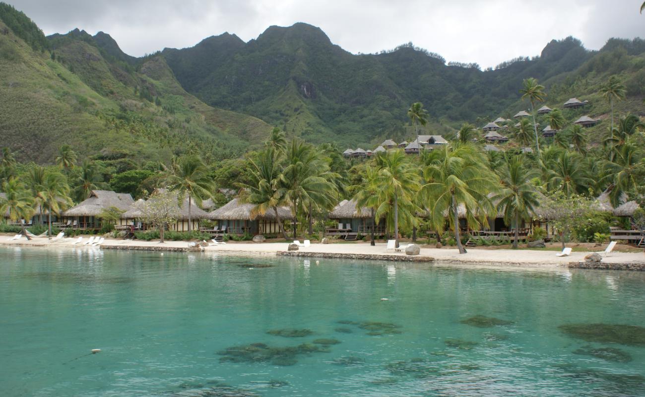 Foto af Haapiti Beach med lys sand overflade