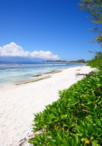 Moorea-Maiao island