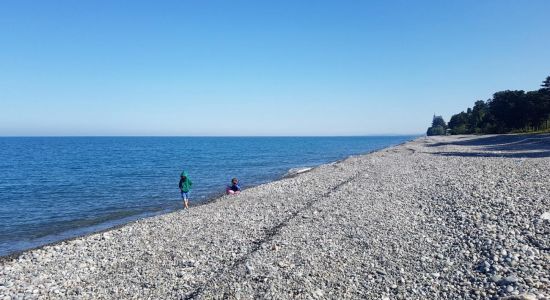 Tsikhisdziri beach