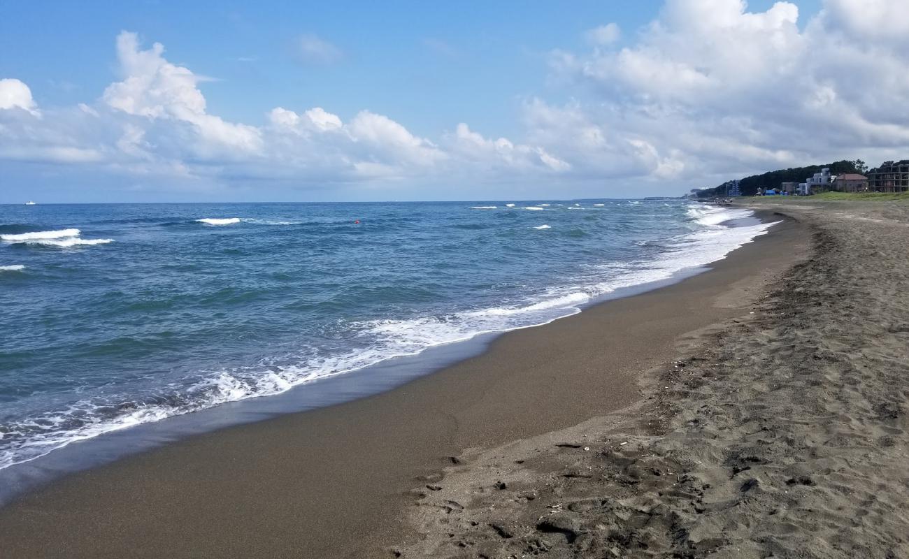 Foto af Shekvetili beach med sort sand overflade