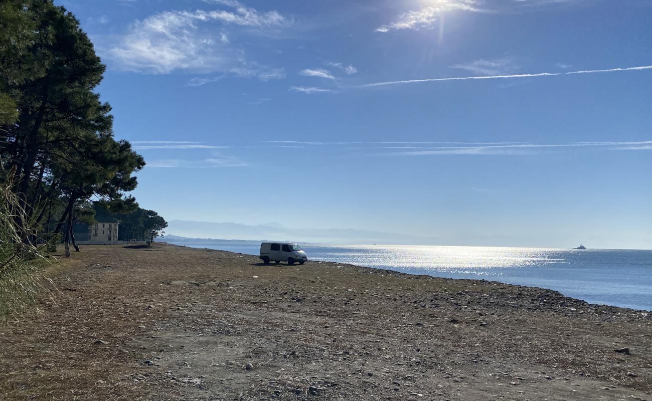 Foto af Grigoleti beach med sort sand overflade