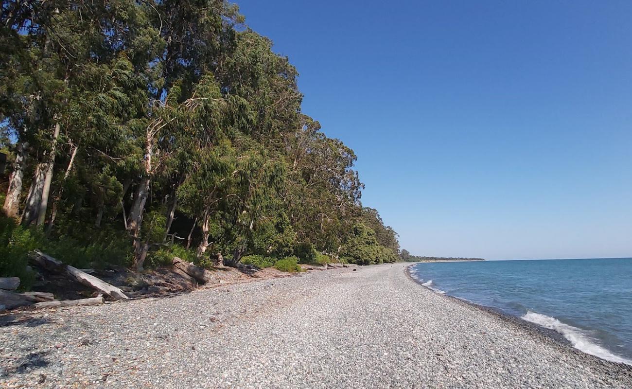 Foto af Akhali-Kindgi beach med grå sten overflade