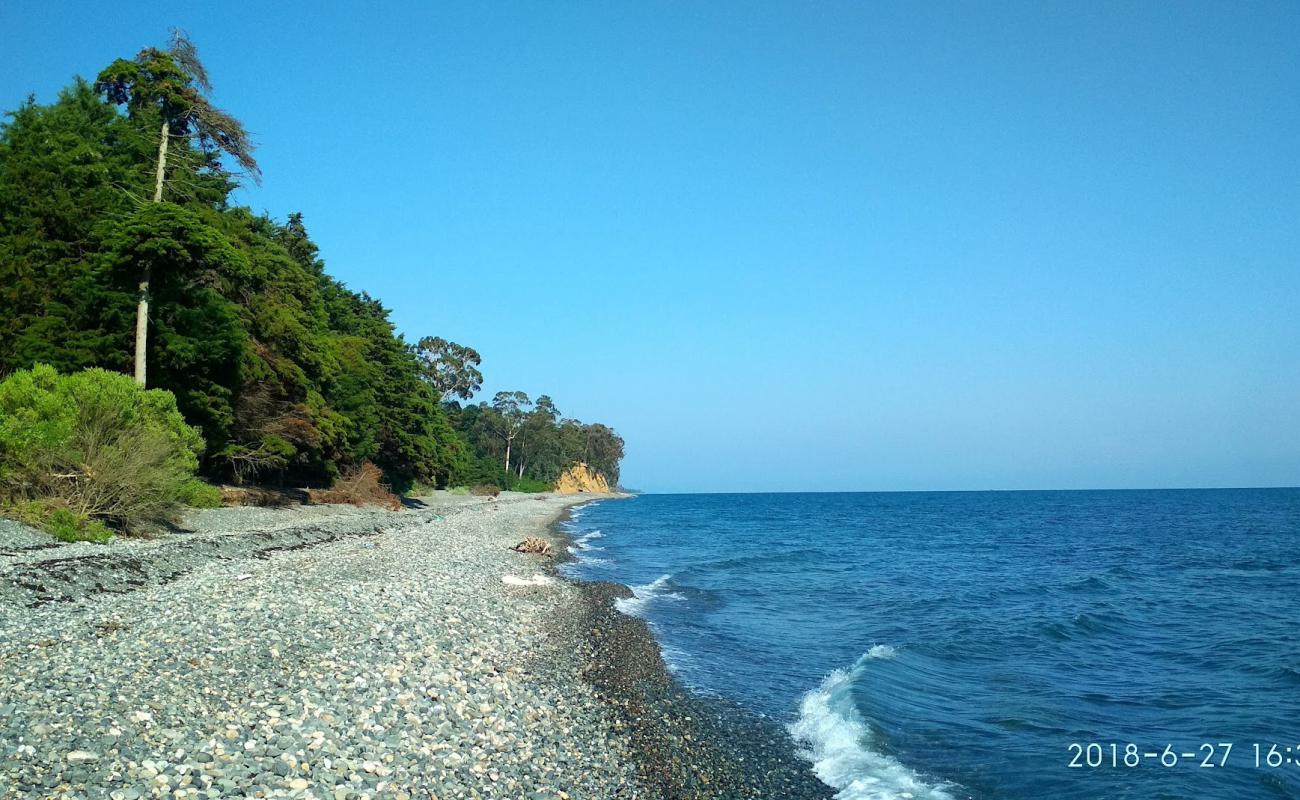 Foto af Tskurgili beach med let sten overflade