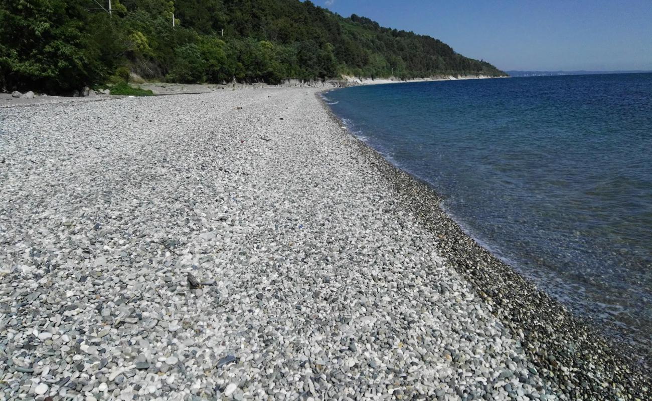 Foto af Solnechnyi beach med let sten overflade