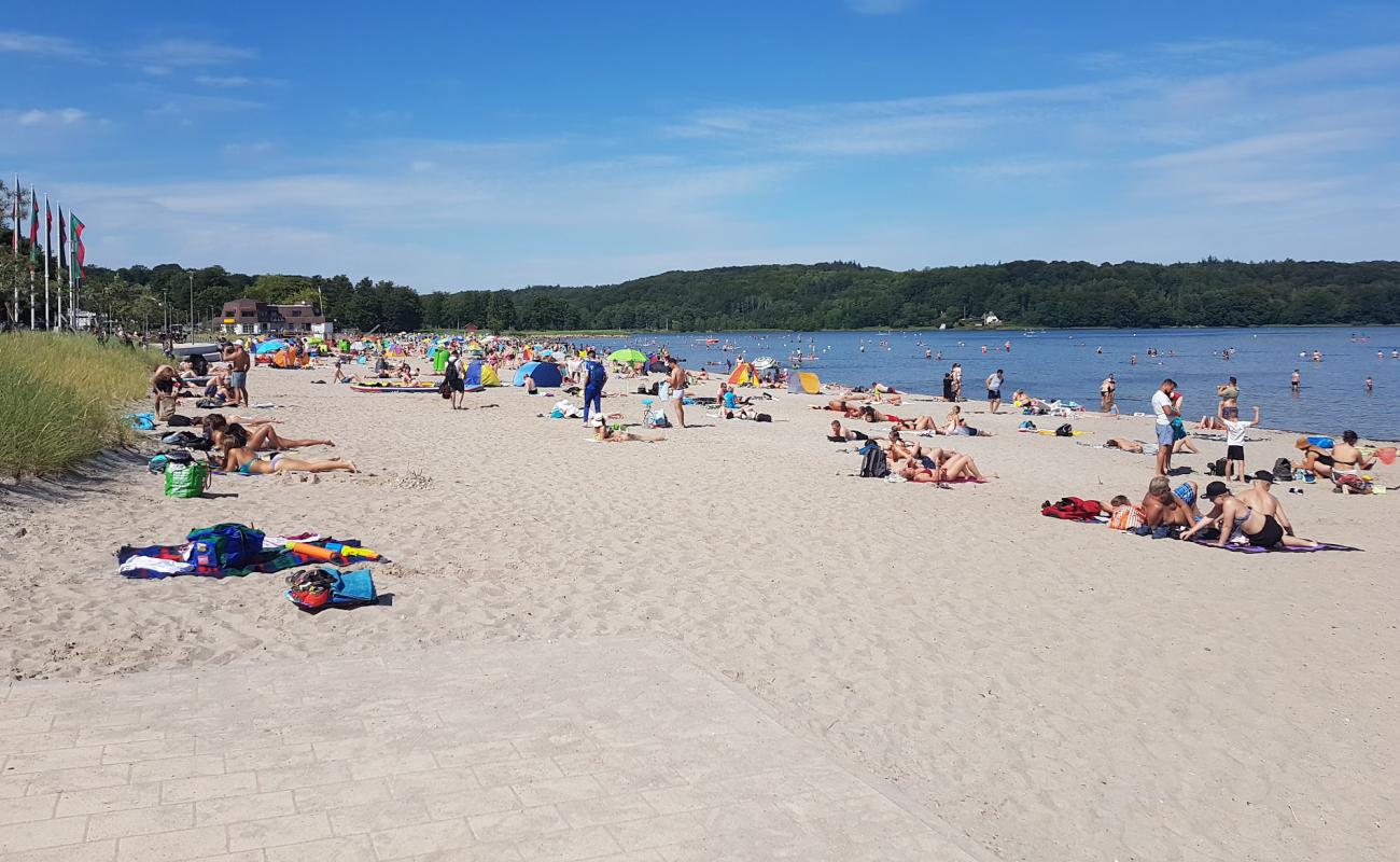 Foto af Wassersleben strand med lys sand overflade