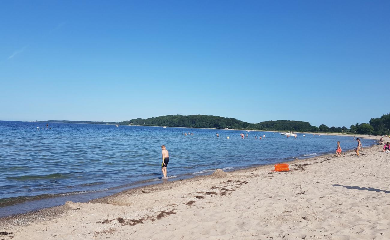 Foto af Sudstrand Eckernforde med lys sand overflade