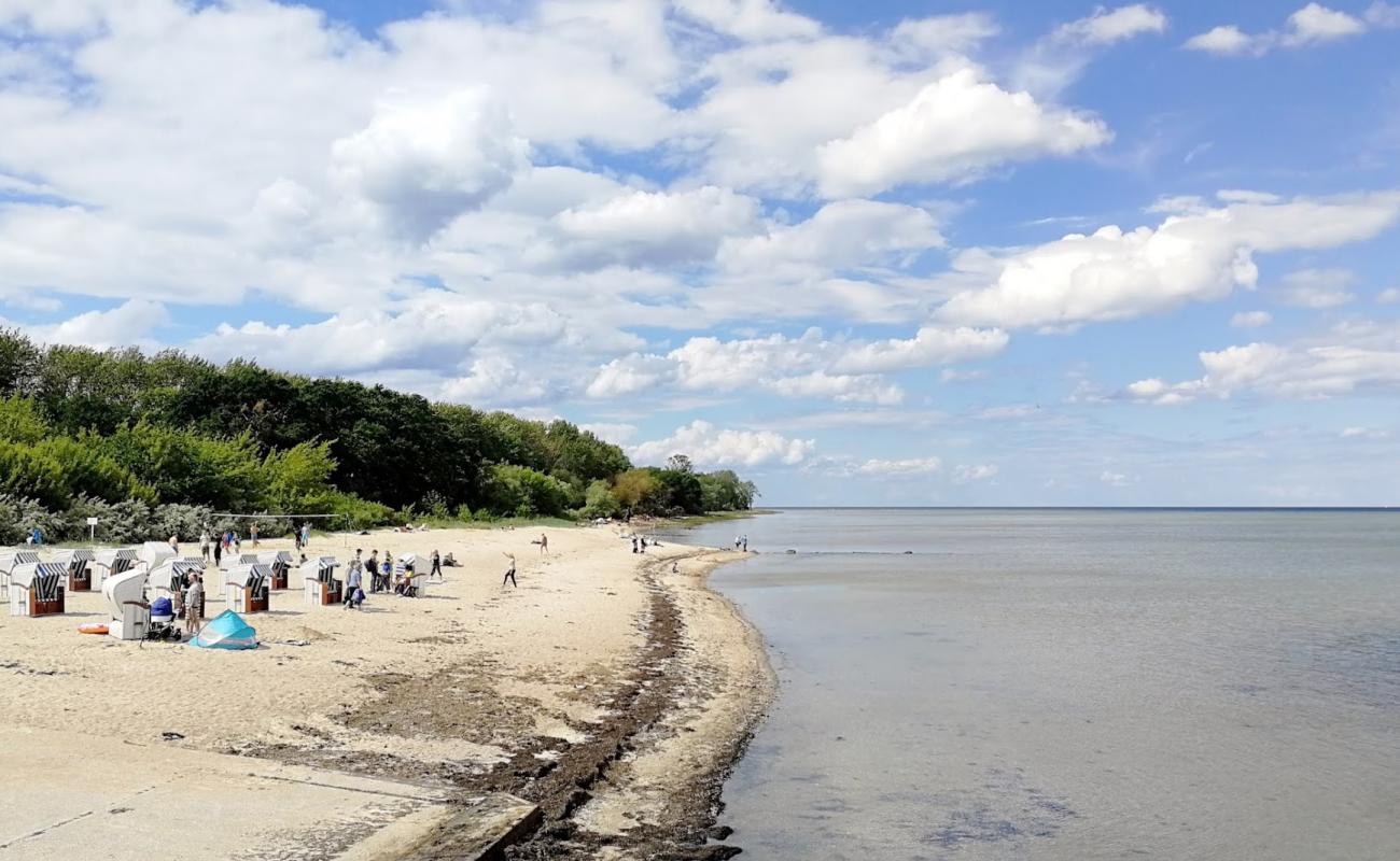 Foto af Wohlenberger wiek strand med lys fint sand overflade