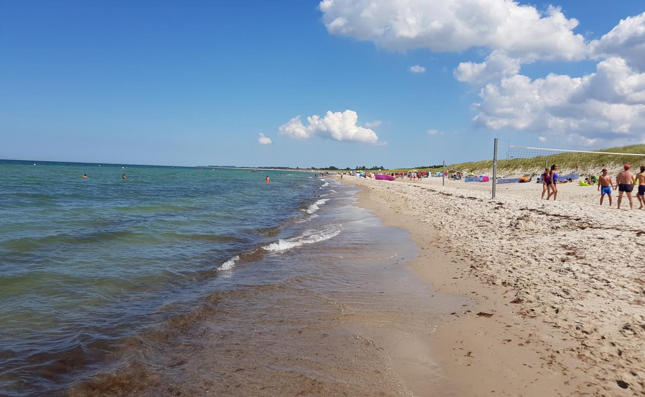 Foto af Dierhagen Strand med lys sand overflade