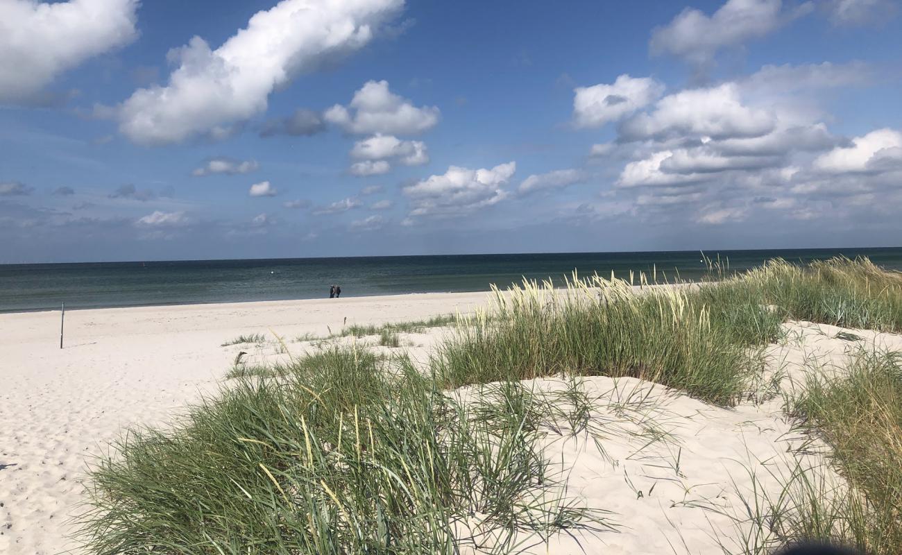 Foto af Prerow Strand med lys sand overflade