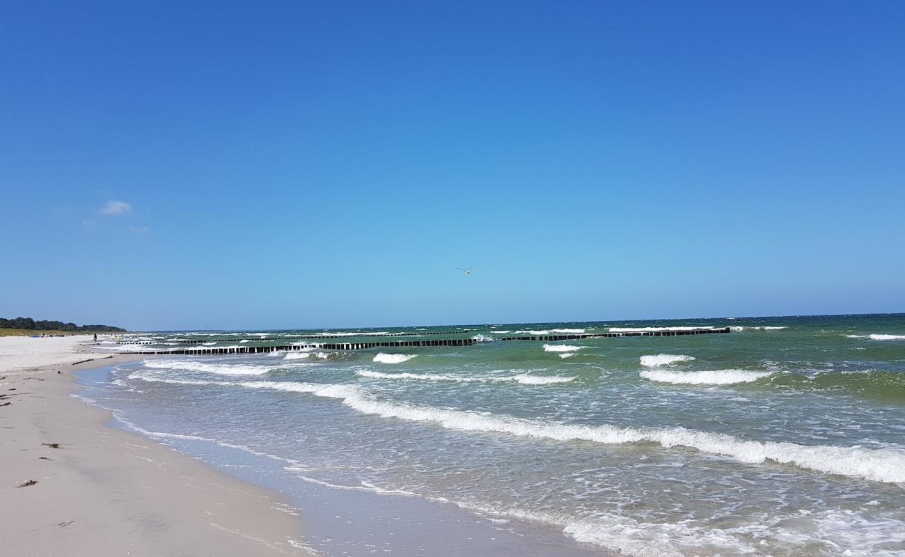 Foto af Strand Prerow med lys sand overflade