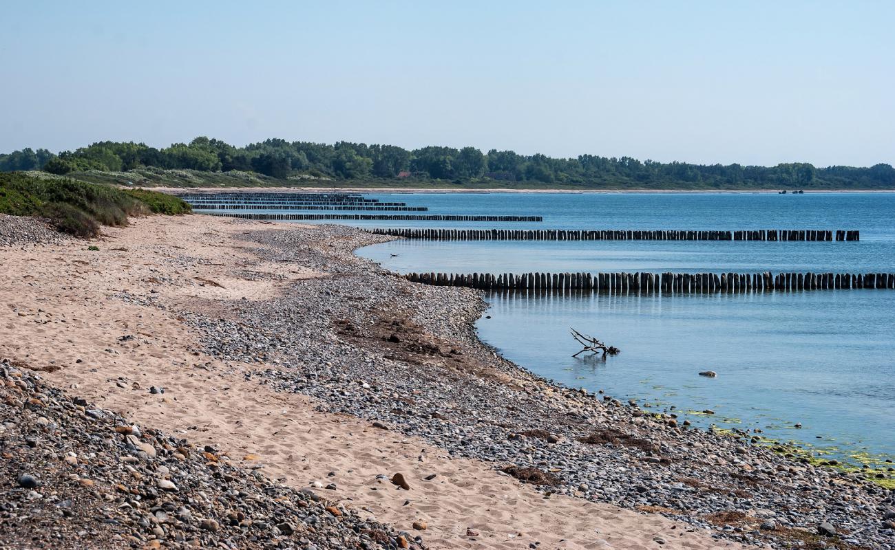 Foto af Dranske strand med lyst sand & sten overflade