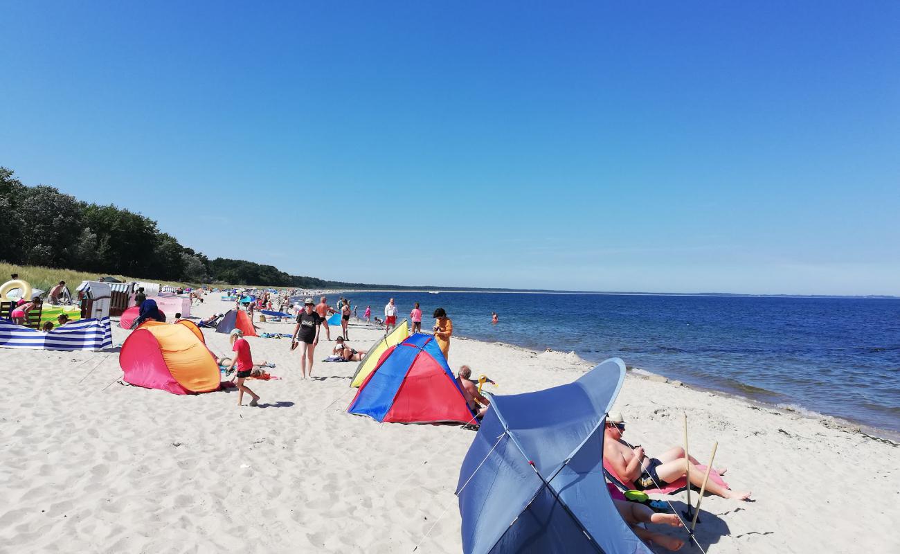 Foto af Glowe Strand med lys sand overflade