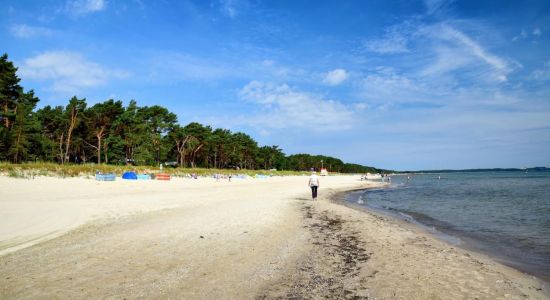 Prora strand