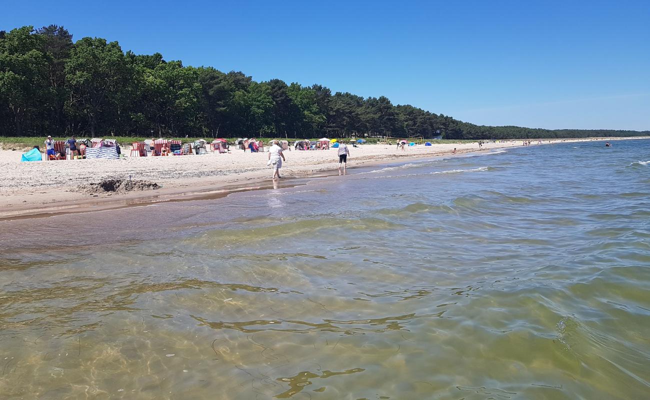 Foto af Strandkorbvermietung med lys sand overflade